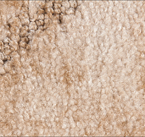 Ковролин Associated Weavers Tango 30 фото 1 | FLOORDEALER